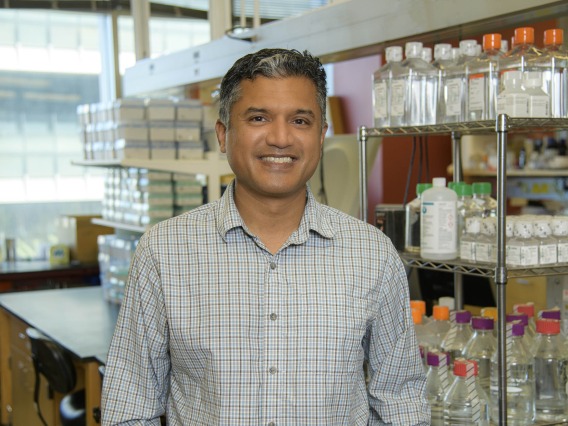 Aportrait of deepta bhattacharya in his research laboratory at the University of Arizona Health Sciences