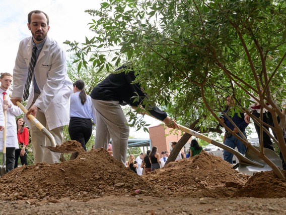 A man in a white medical coat shovels dirt into a hole with a tree in it. Several more medical students stand behind waiting for their turn.