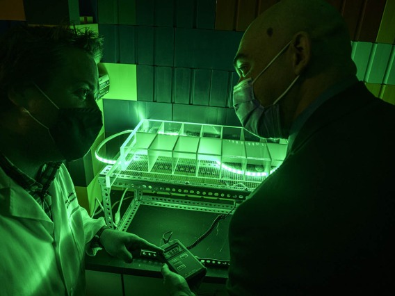 University of Arizona Health Sciences researchers are studying green light therapy with a goal to reduce opioid dependency in postsurgical patients. 